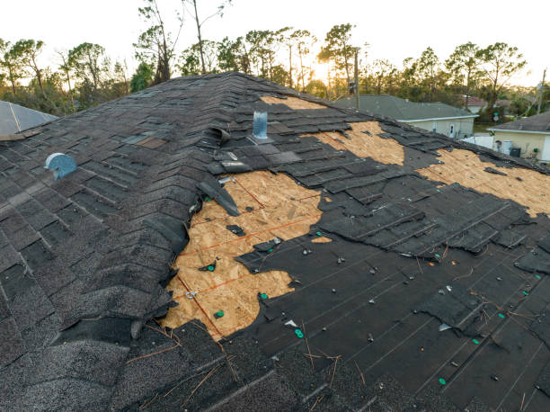 Best Asphalt Shingles Roofing  in Man, WV